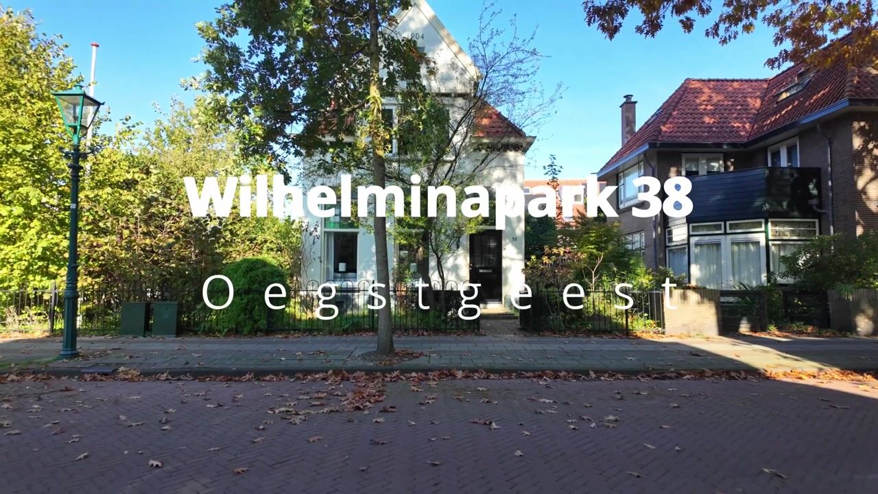 Video van Wilhelminapark 38