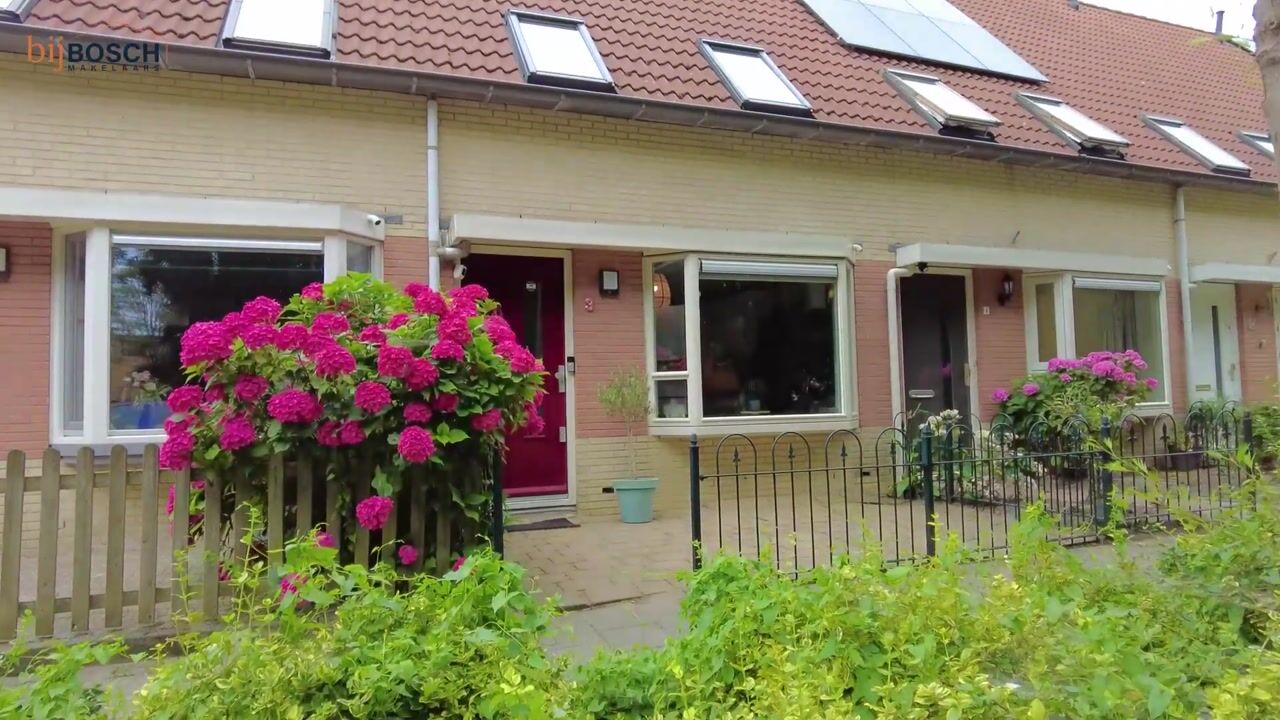 Video van Darja Collinstraat 3