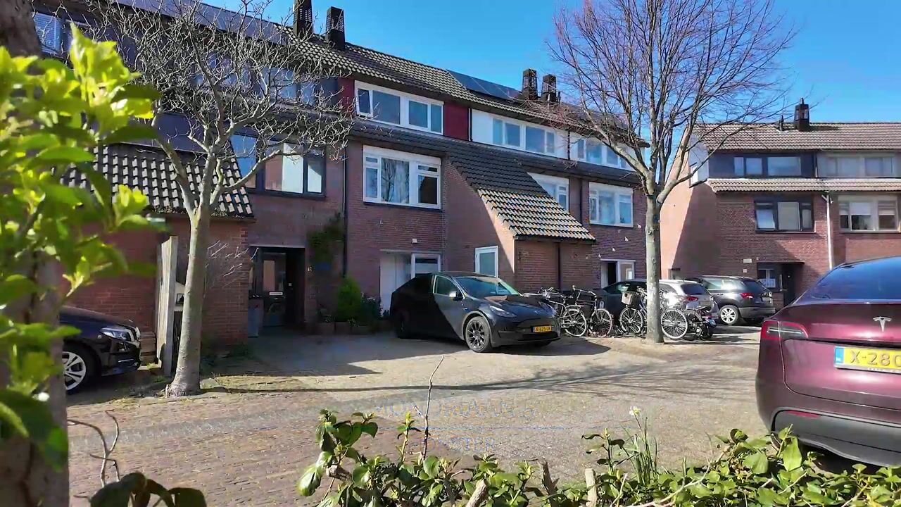 Video of Mondriaan 5