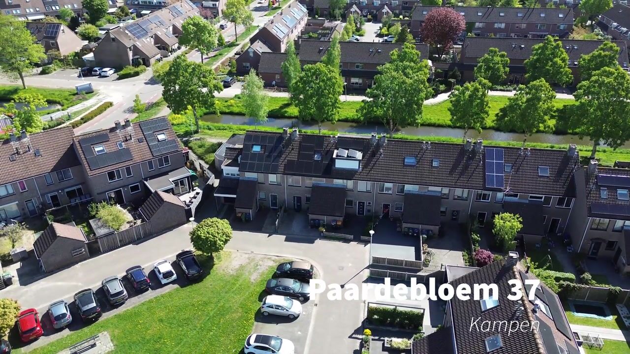 Video van Paardebloem 37