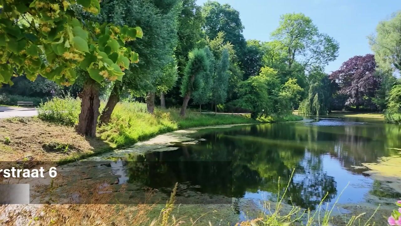 Video of Selwerderstraat 6
