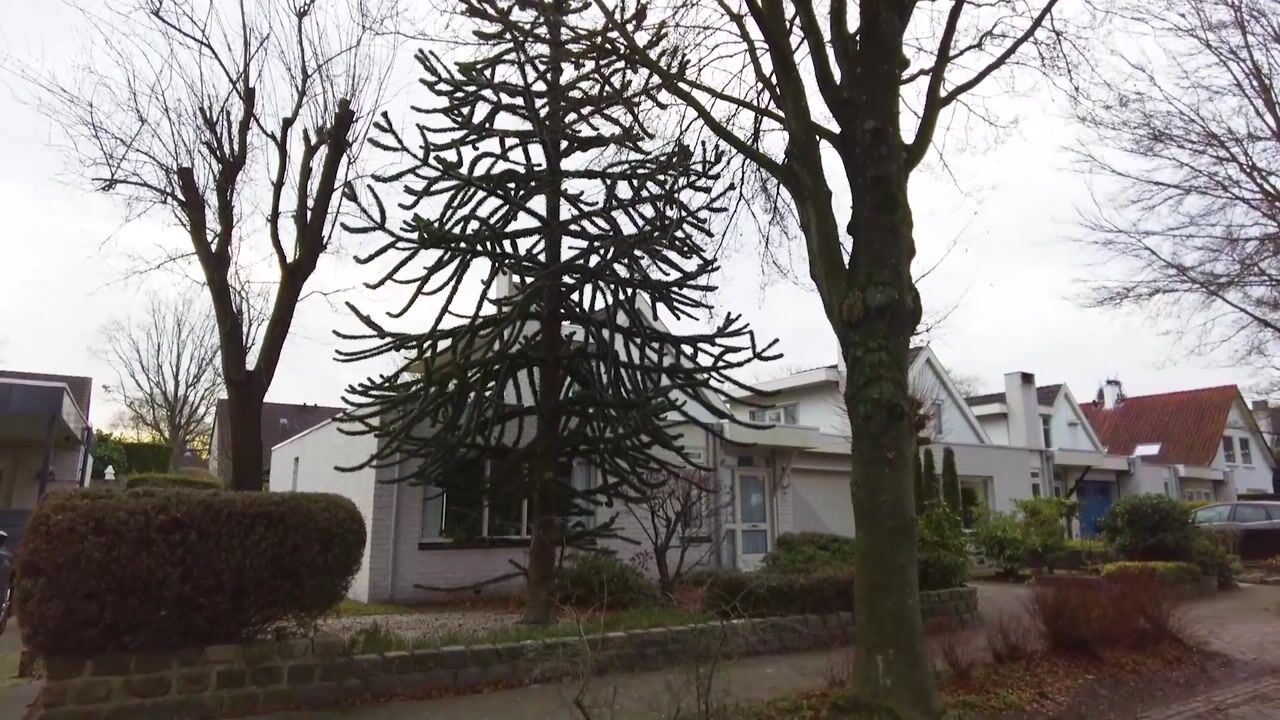 Video of Eigendomweg 29