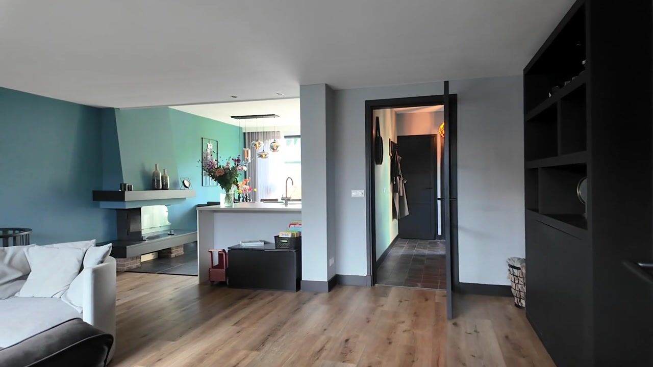 Video of Maaskant 10