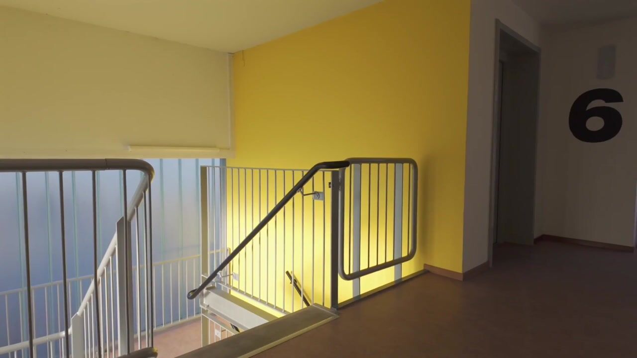 Video van Brink 168