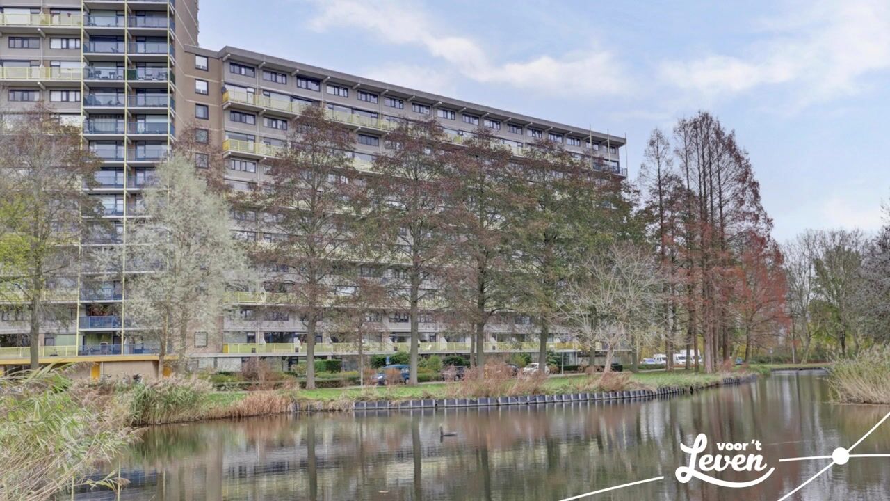 Video van Dokter van Stratenweg 669