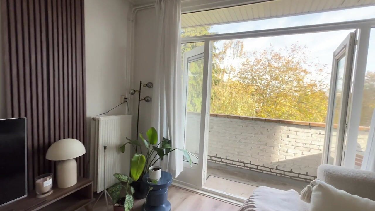 Video van Twee Koningskinderenstraat 2-3