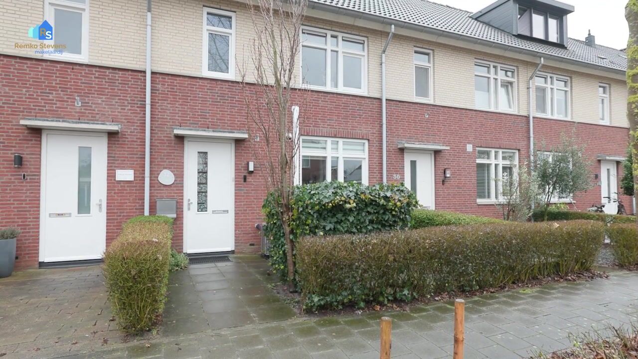 Video of Paardenbloem 32