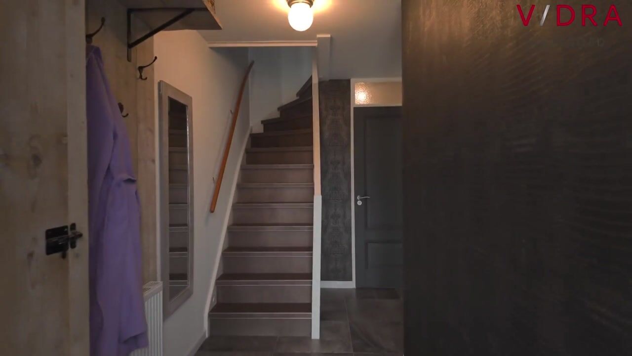 Video of Groene Steen 13