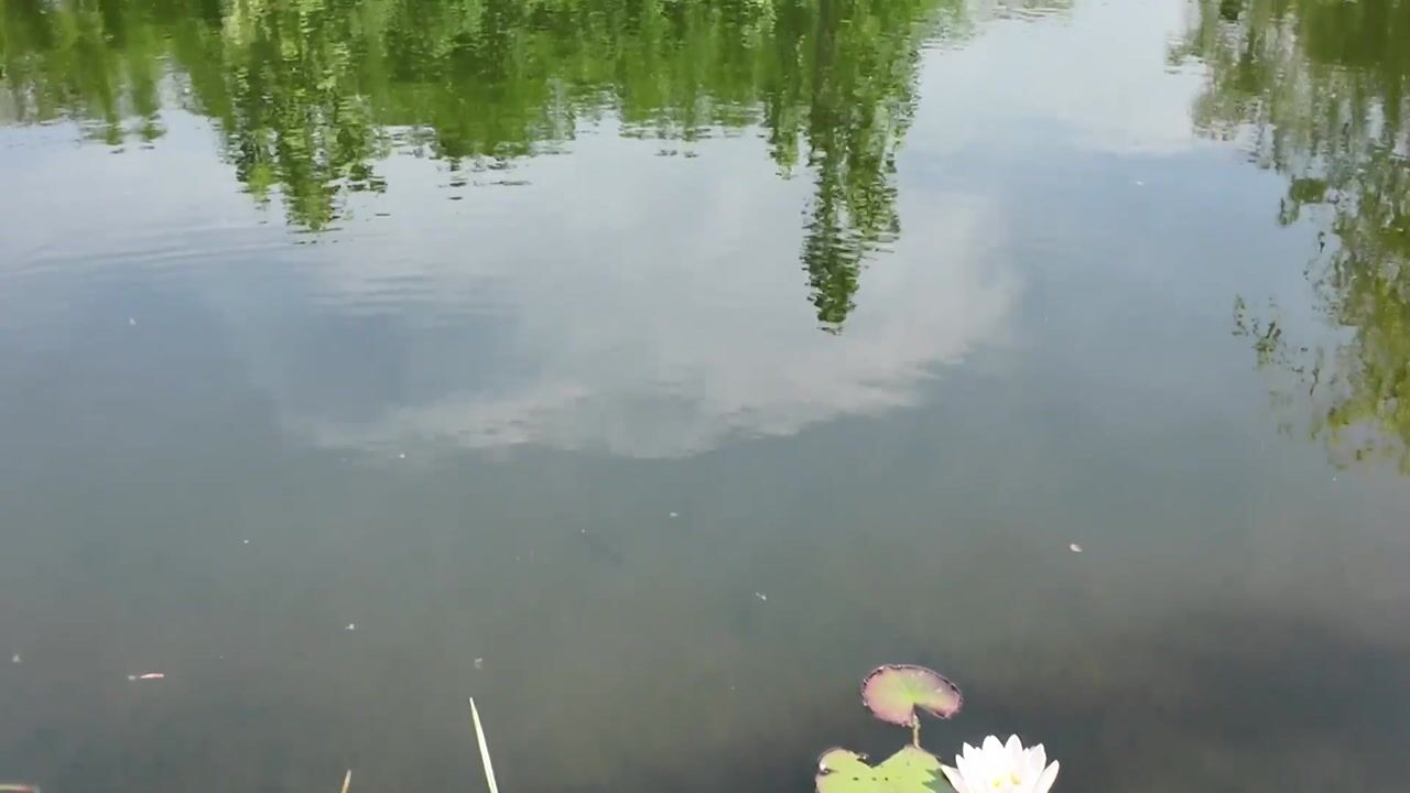 Video van Eilandseweg 32-C042