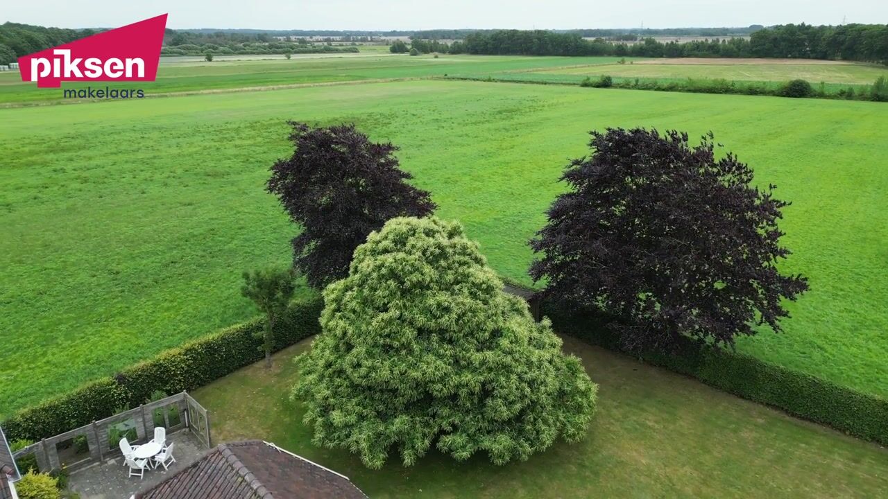 Video van Dalkruid 14