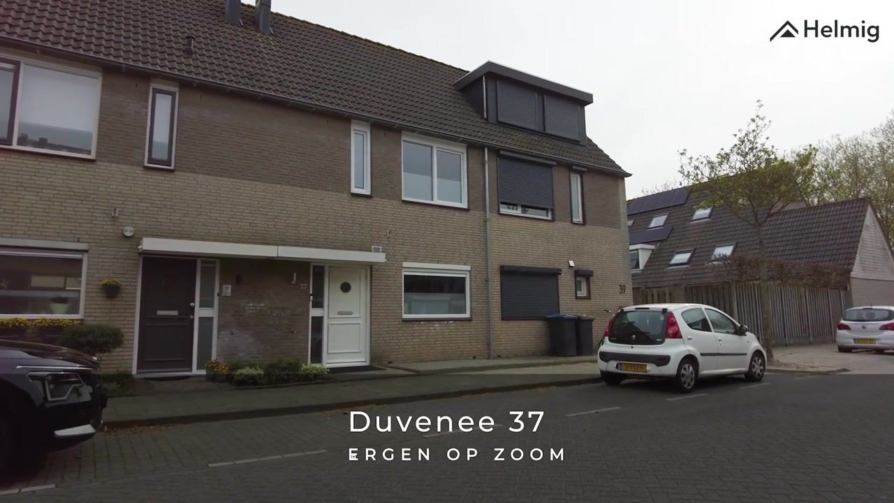 Video van Duvenee 37
