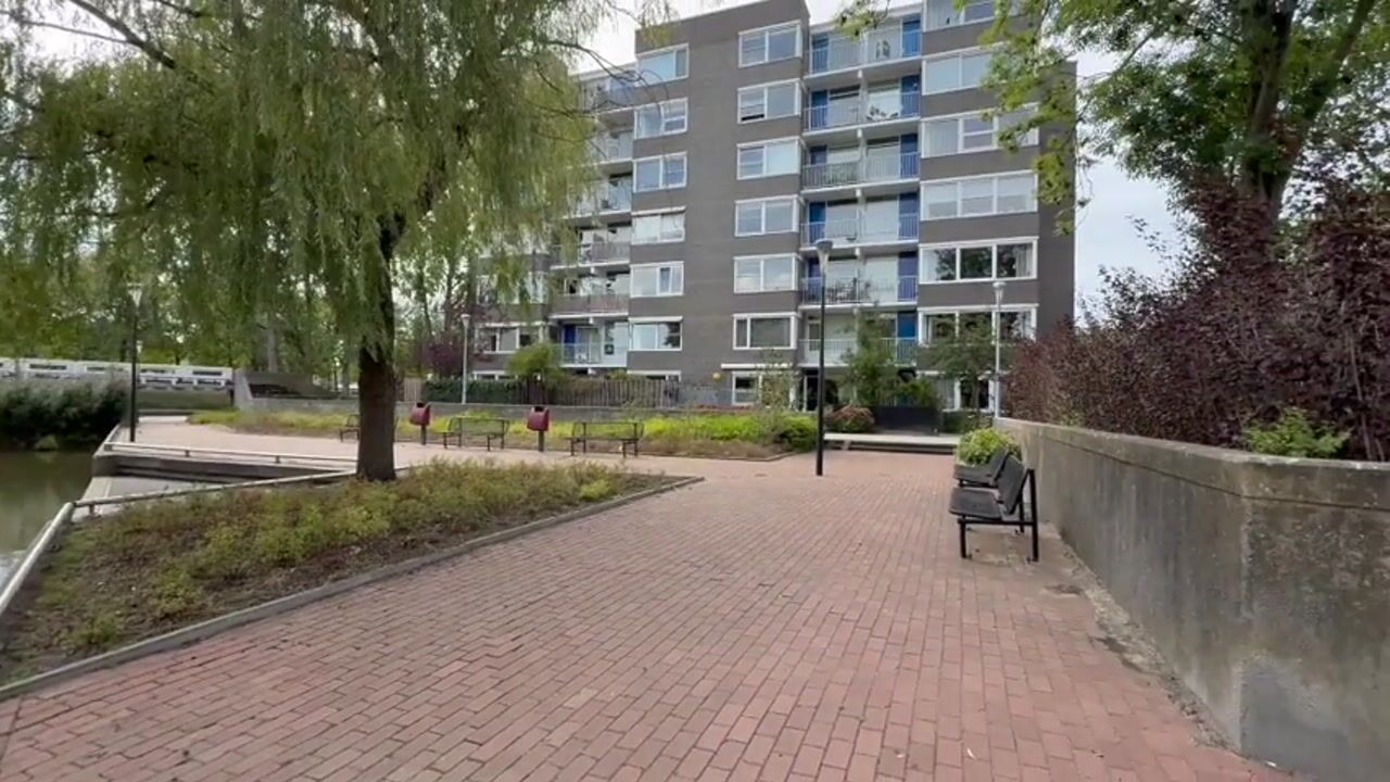 Video of Graan voor Visch 16118