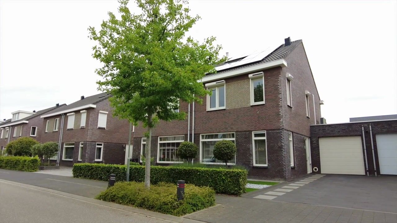 Video van Groene Specht 6