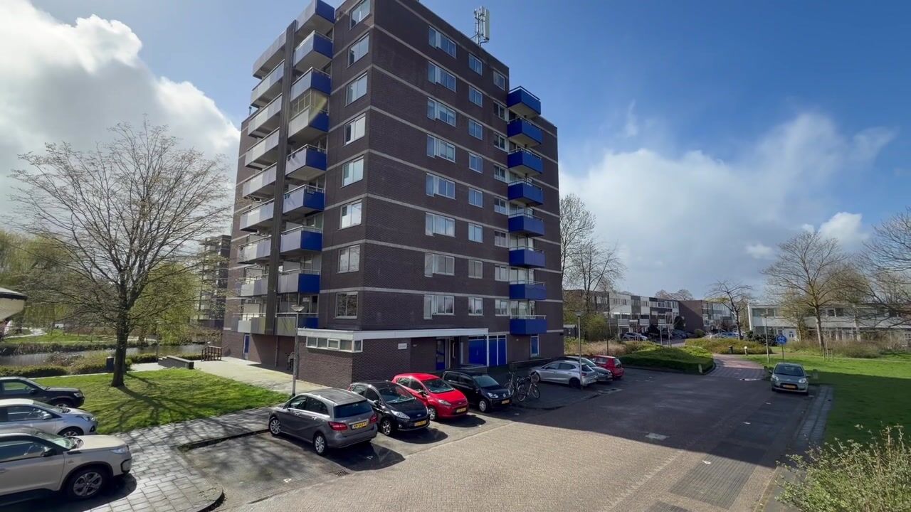 Video van Bijvoet 31