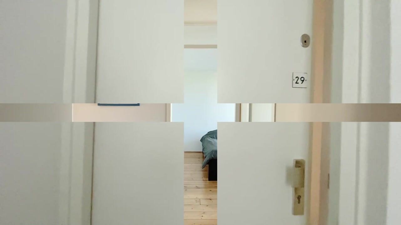 Video van Willemstraat 29
