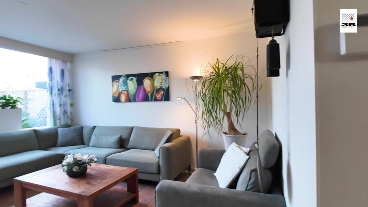 Video of de Wilgen 40