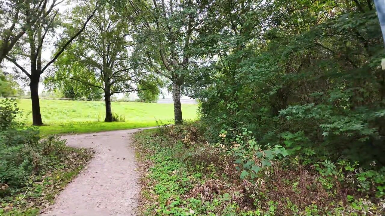 Video van Harlingenpad 18