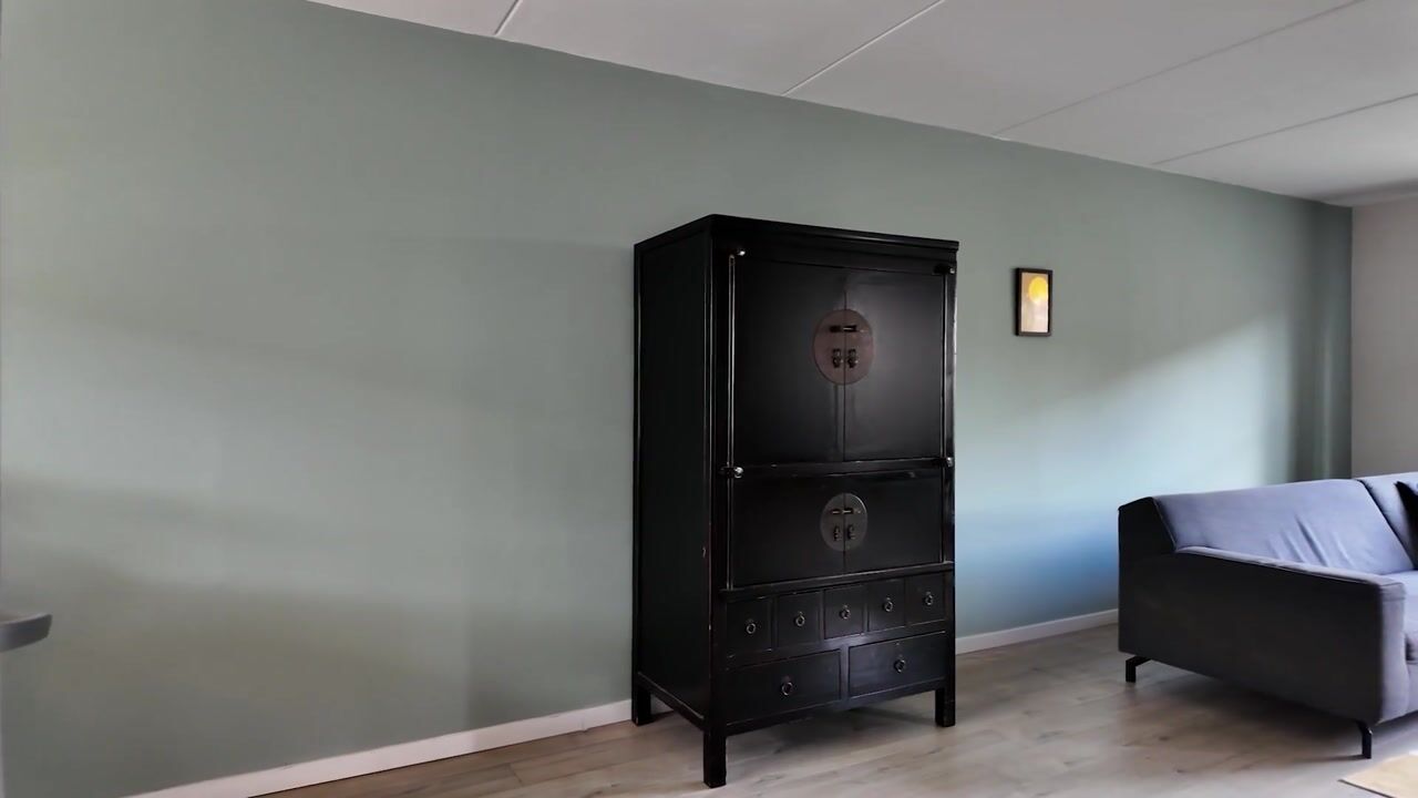 Video of Leuvenstein 51