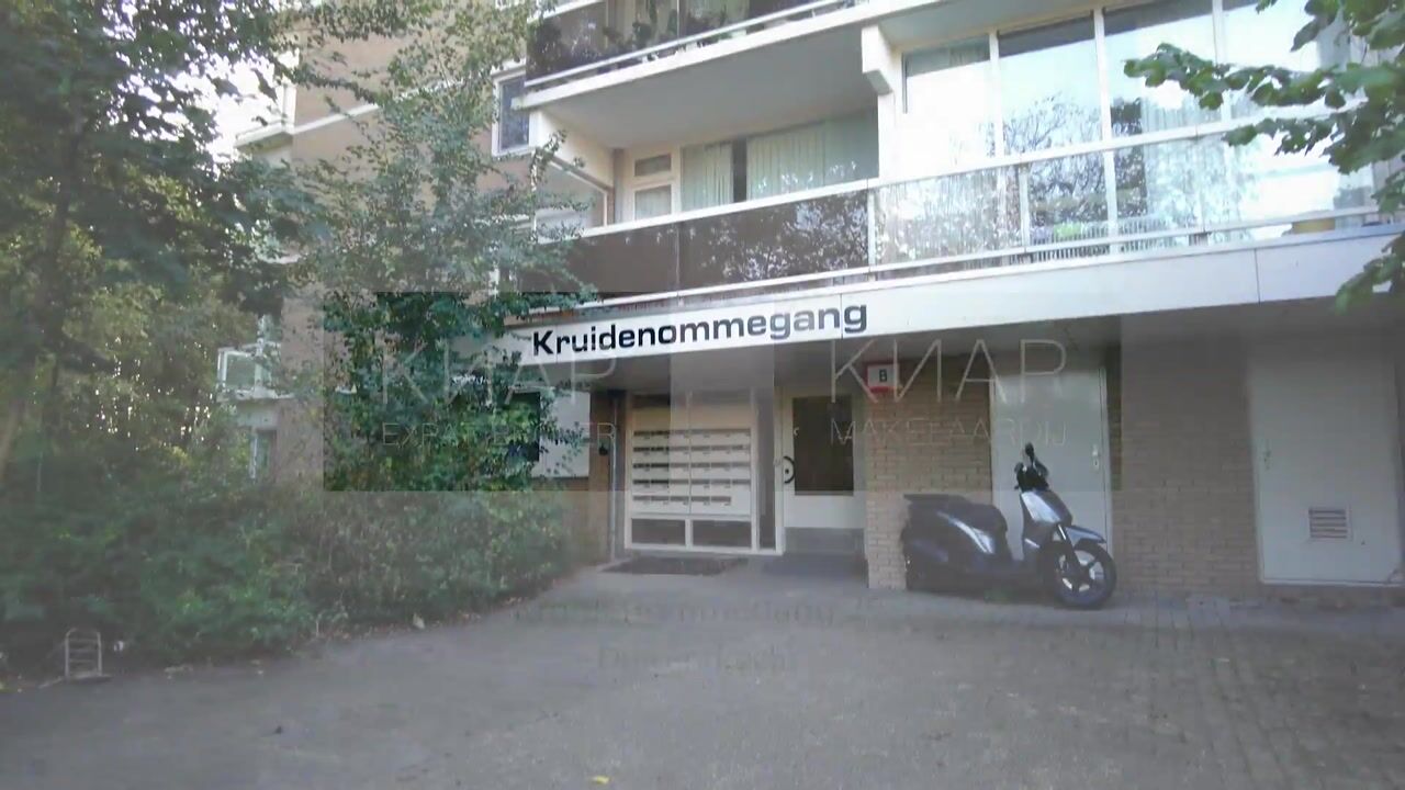Video van Kruidenommegang 29