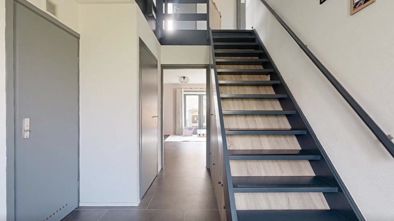 Video van Wilgenhof 2