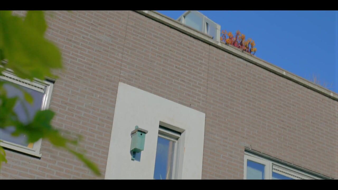 Video van Holtkampstraat 18