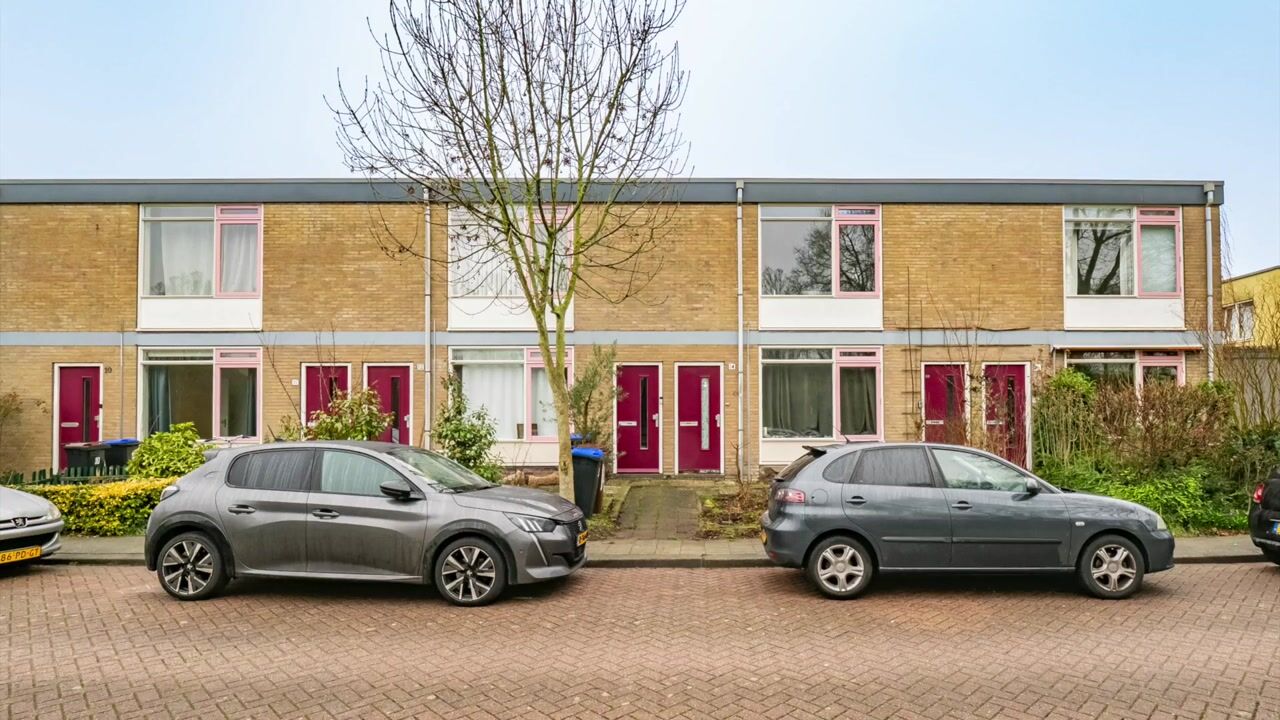 Video van Herautsingel 13