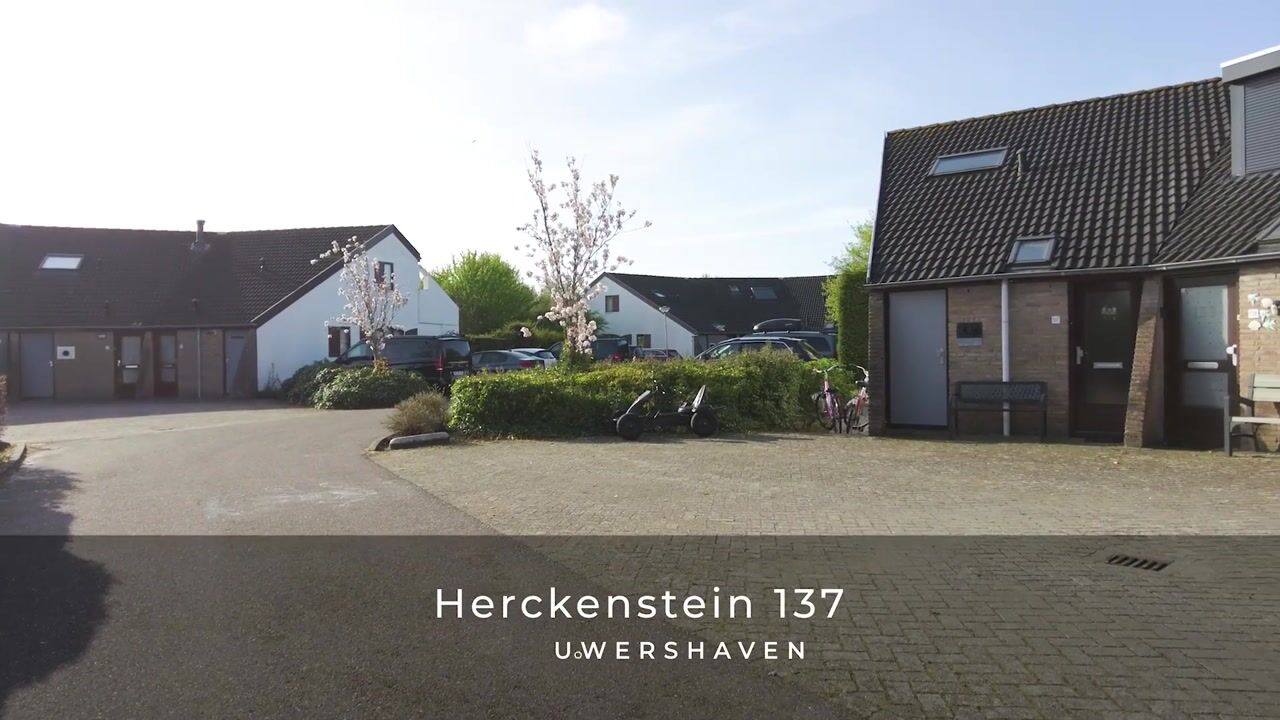 Video of Herckenstein 137
