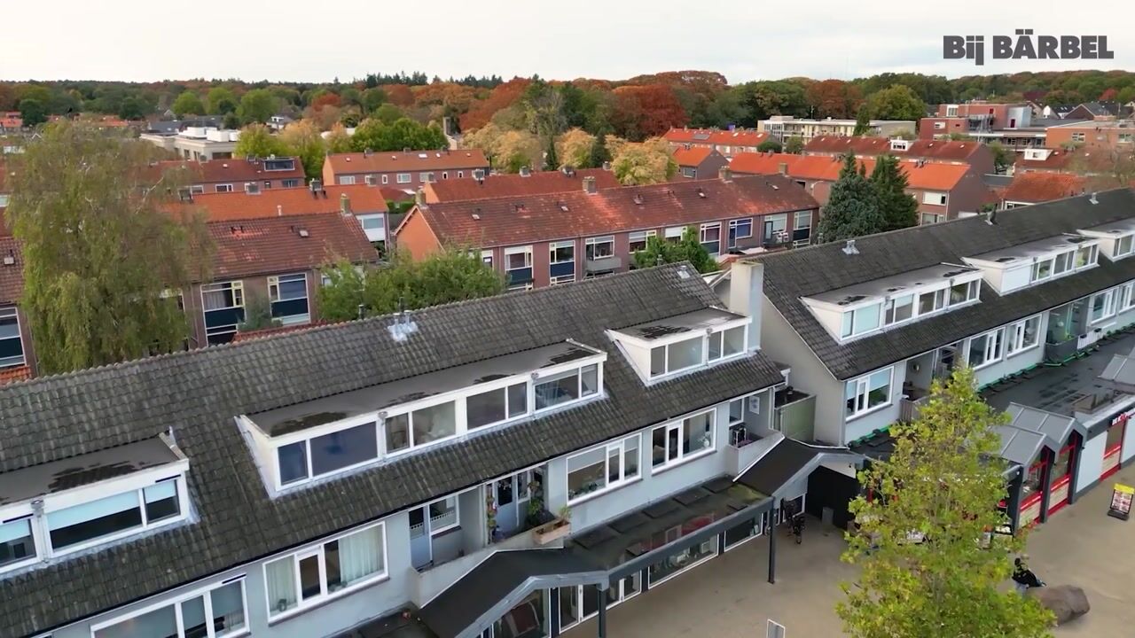 Video van Meidoornplein 23