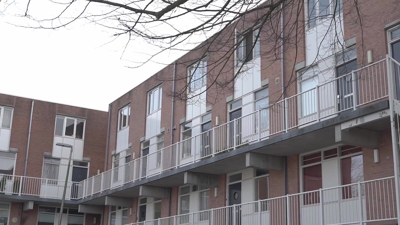 Video van Aardappelakker 38