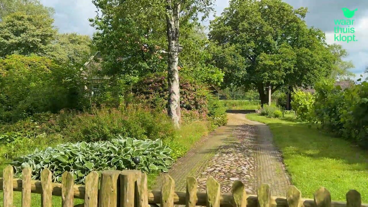 Video of Nieuwe Dijk 6