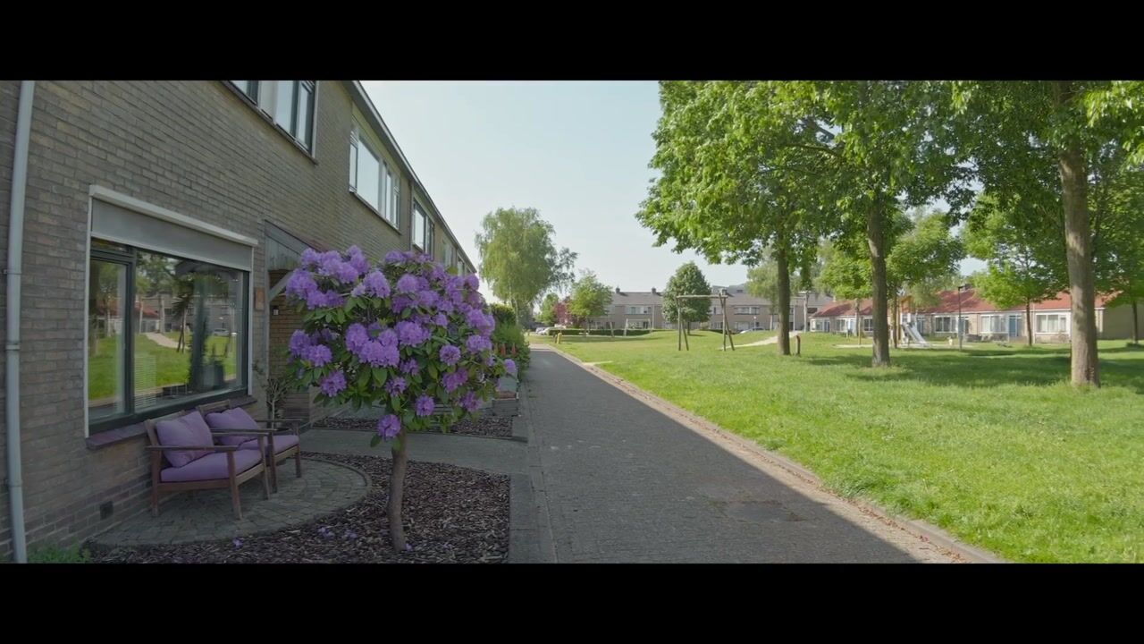 Video van Westerwird 67