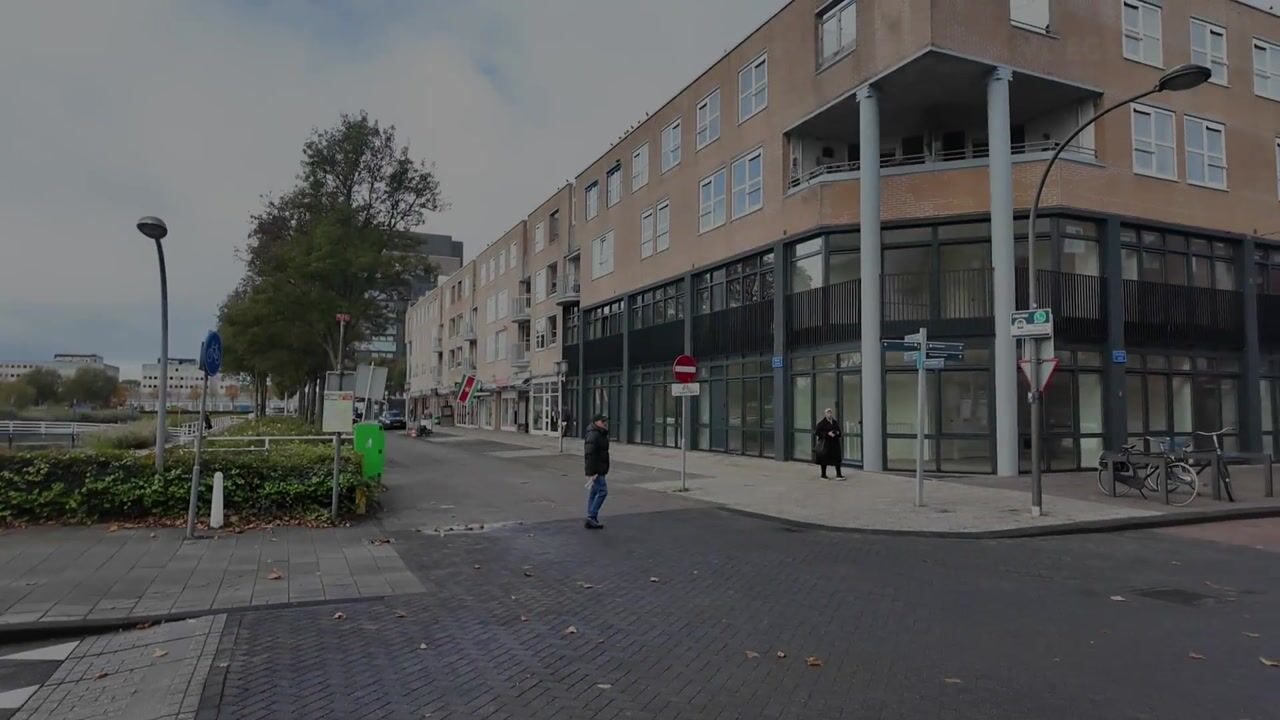 Video van Muntstraat 221