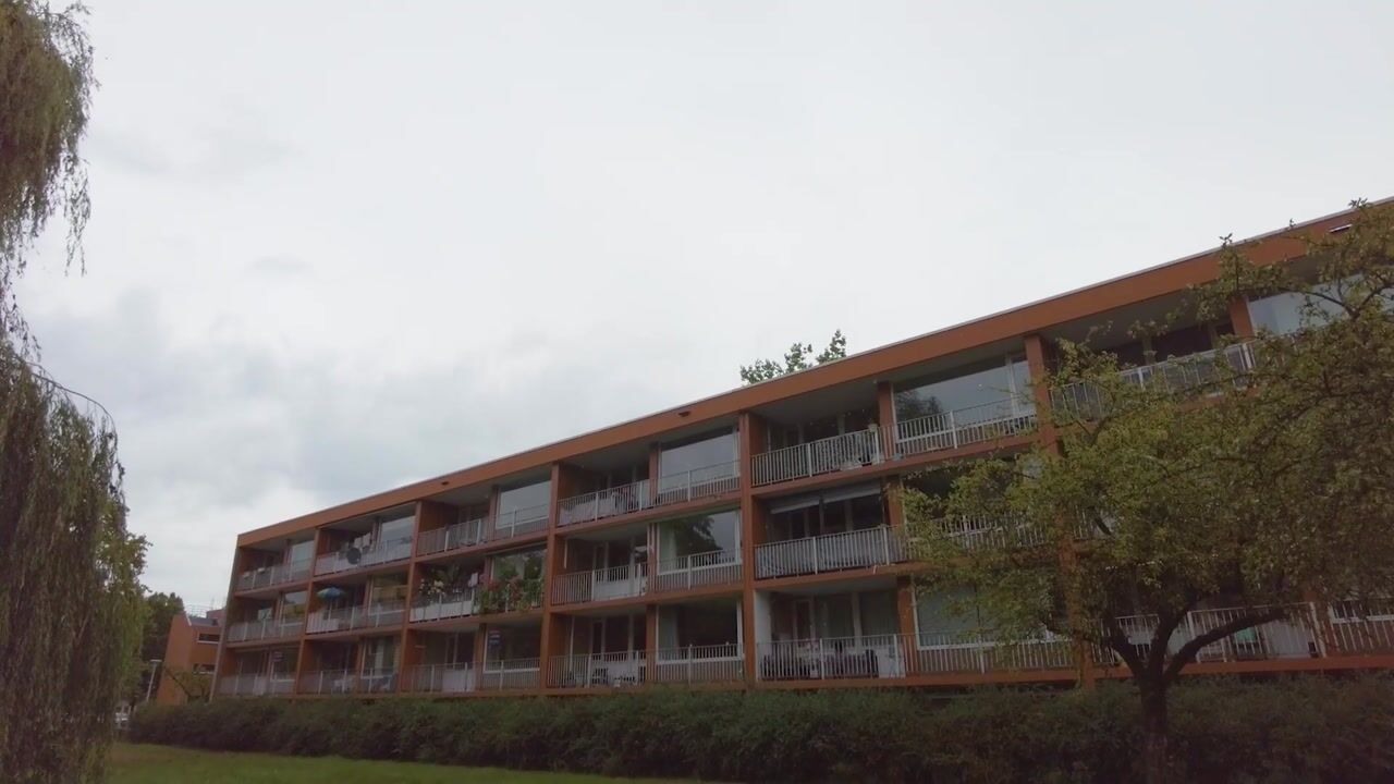 Video van Meijhorst 3166