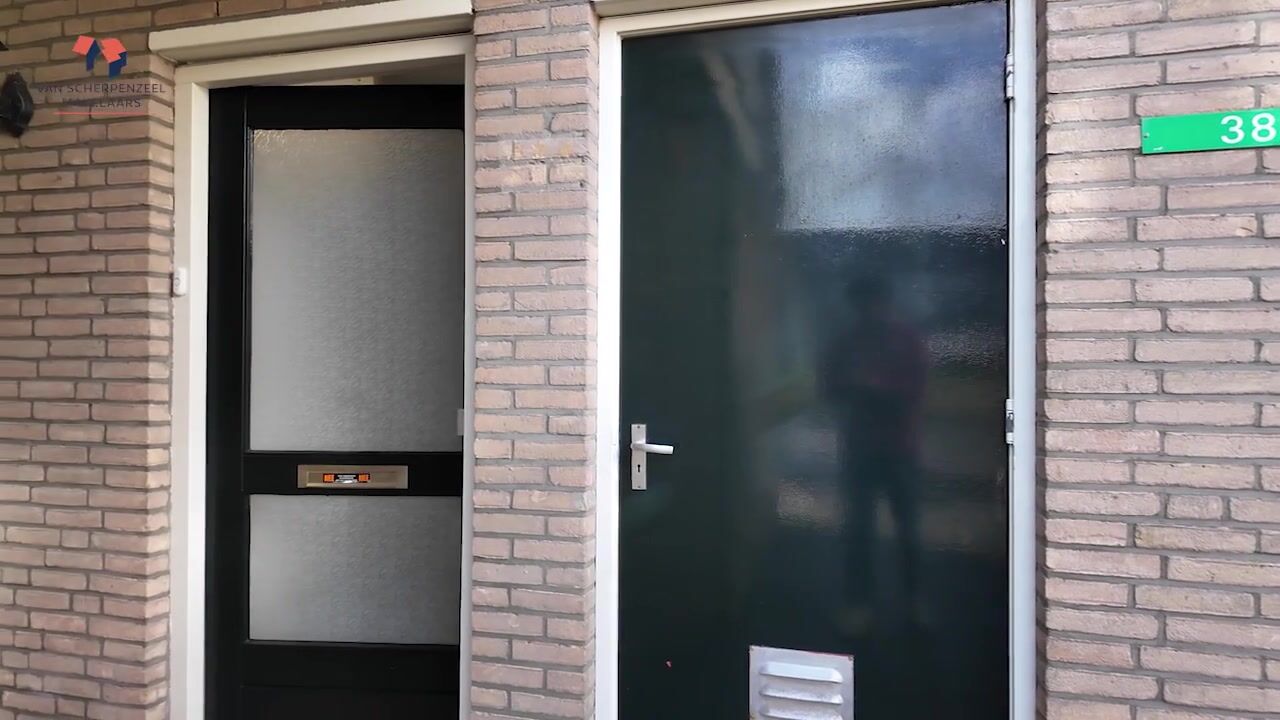 Video of Antilopespoor 385