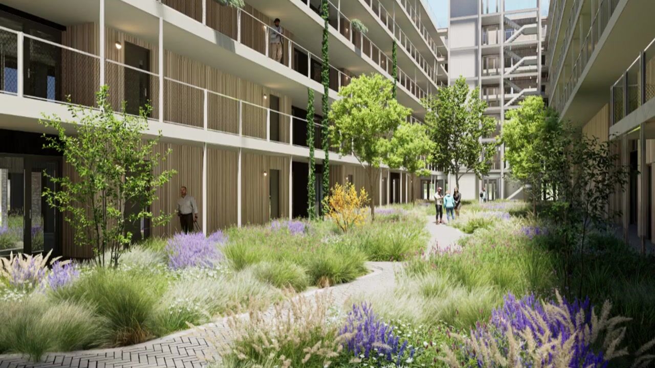 Video van Fluitenkruidpad 323