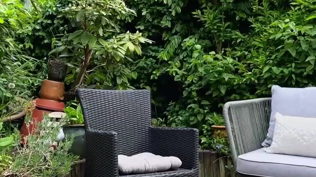 Video of Boterbloem 42