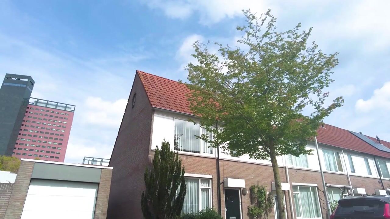 Video van Salkplantsoen 17