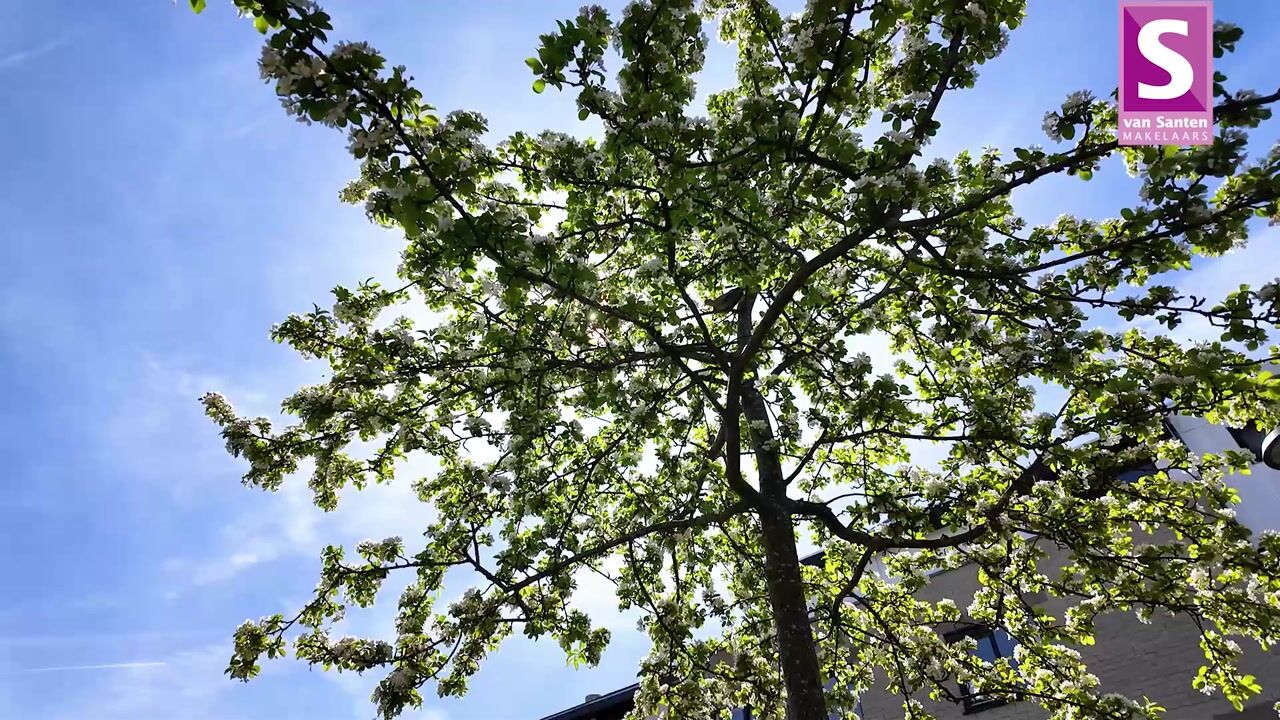 Video van Sterrekinderen erf 12