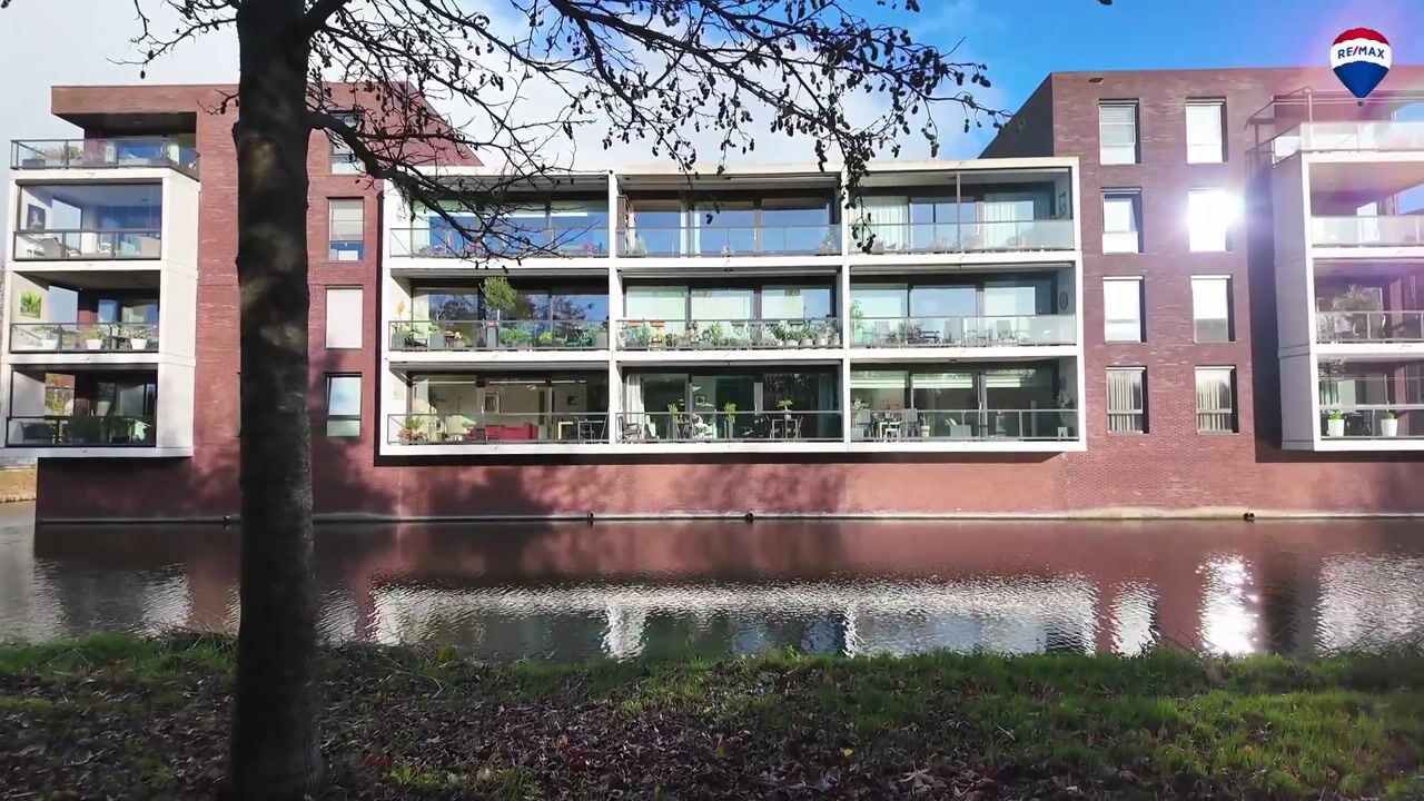 Video of IJsvogel 23