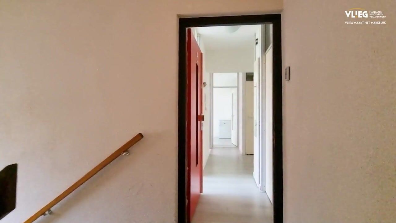 Video of Midscheeps 37