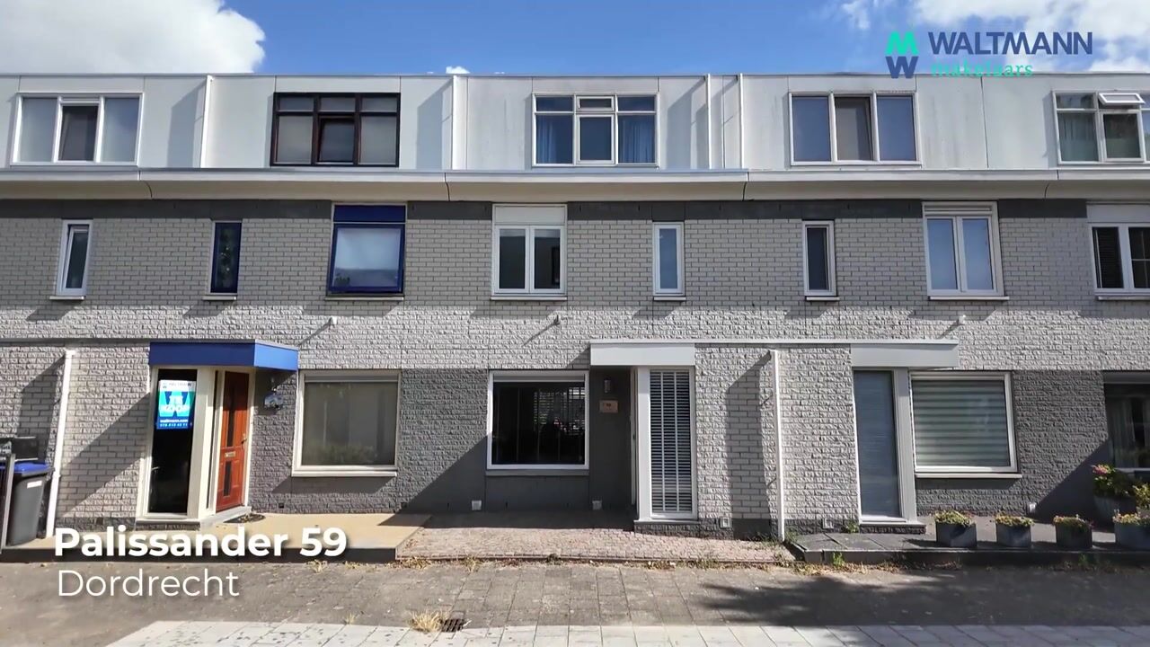 Video van Palissander 59