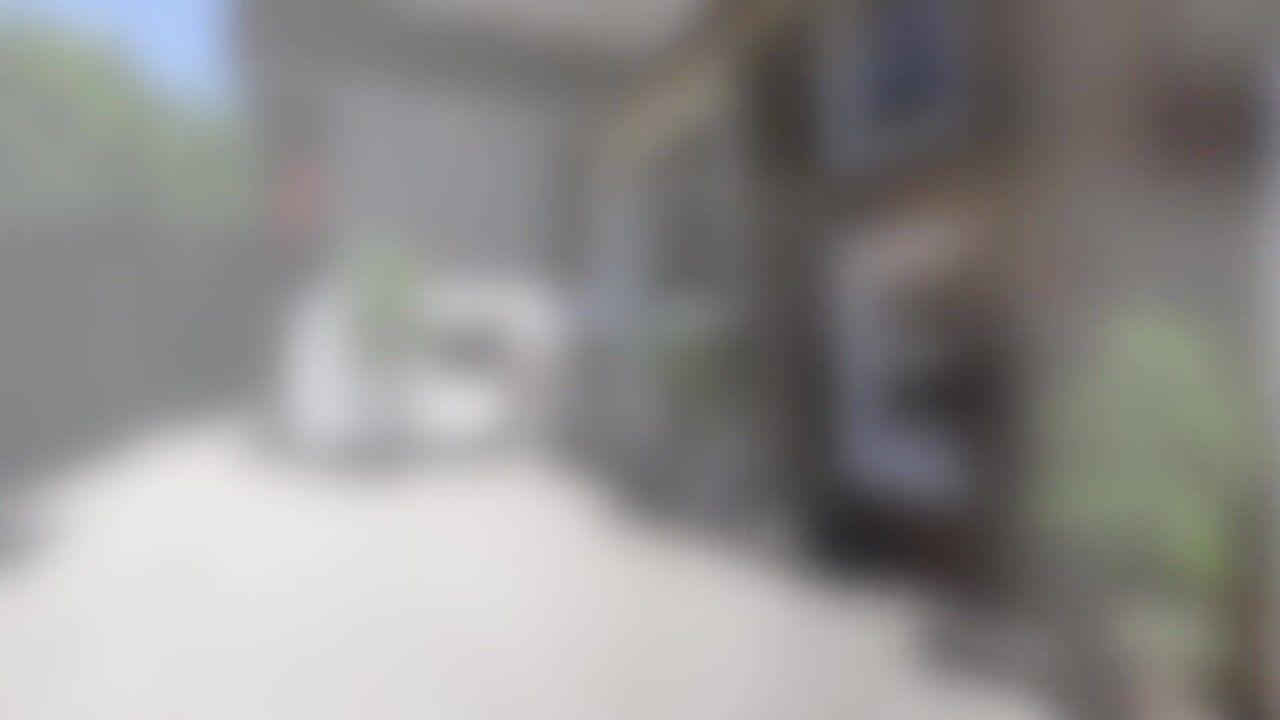 Video van Westeinde 8