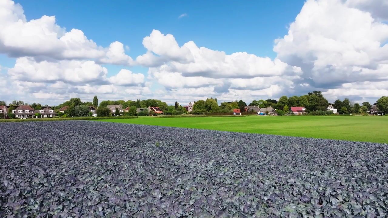 Video van Provincialeweg Noord 1