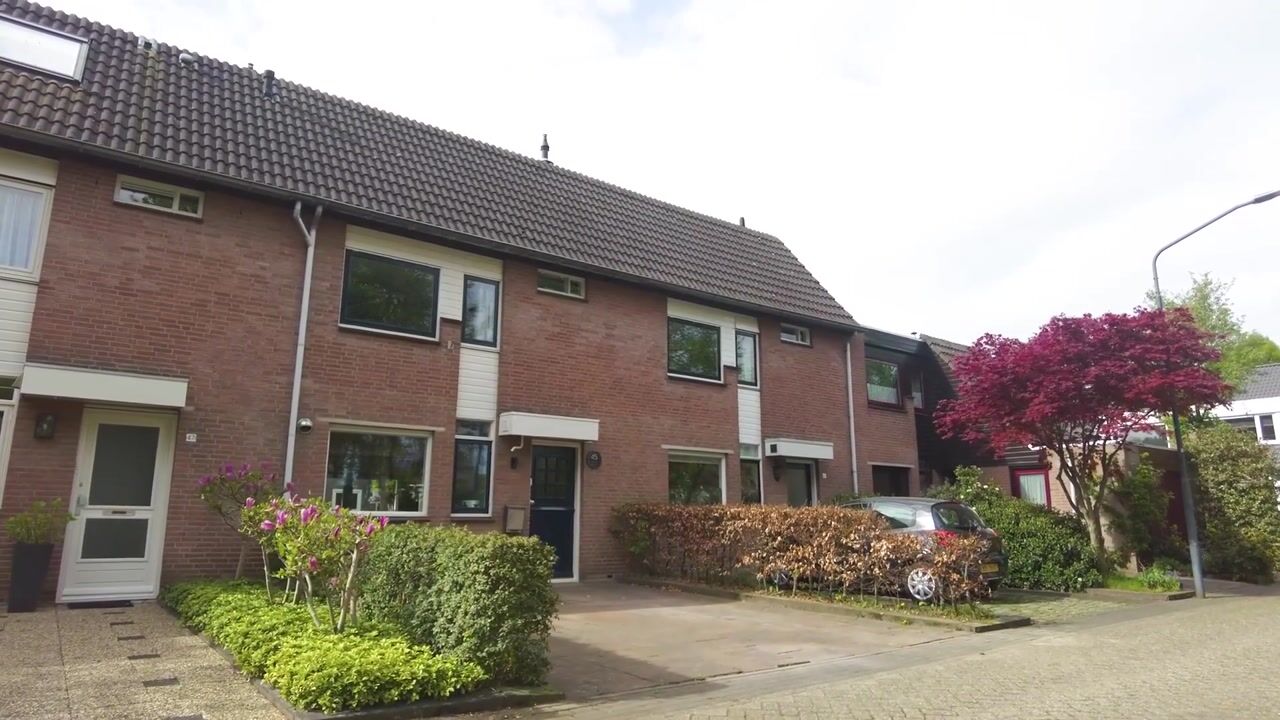 Video of Desselaar 45