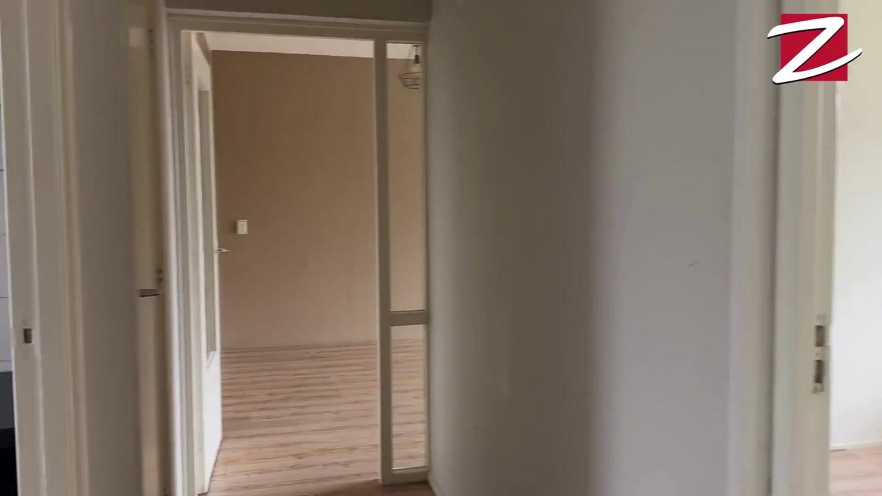 Video of Ruigoord 204