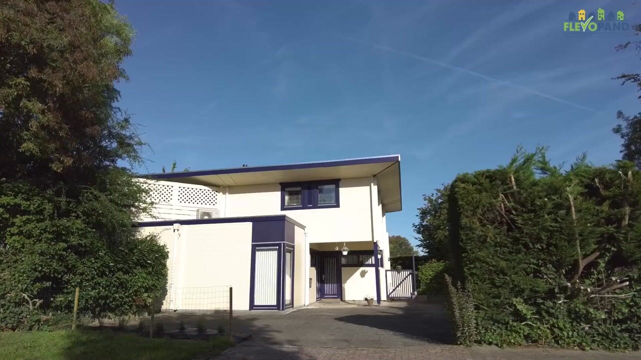 Video van Krachtenveld 46