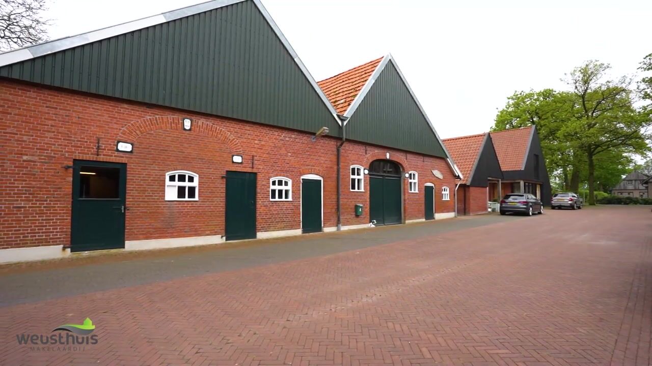 Video of Erve Breuker 4