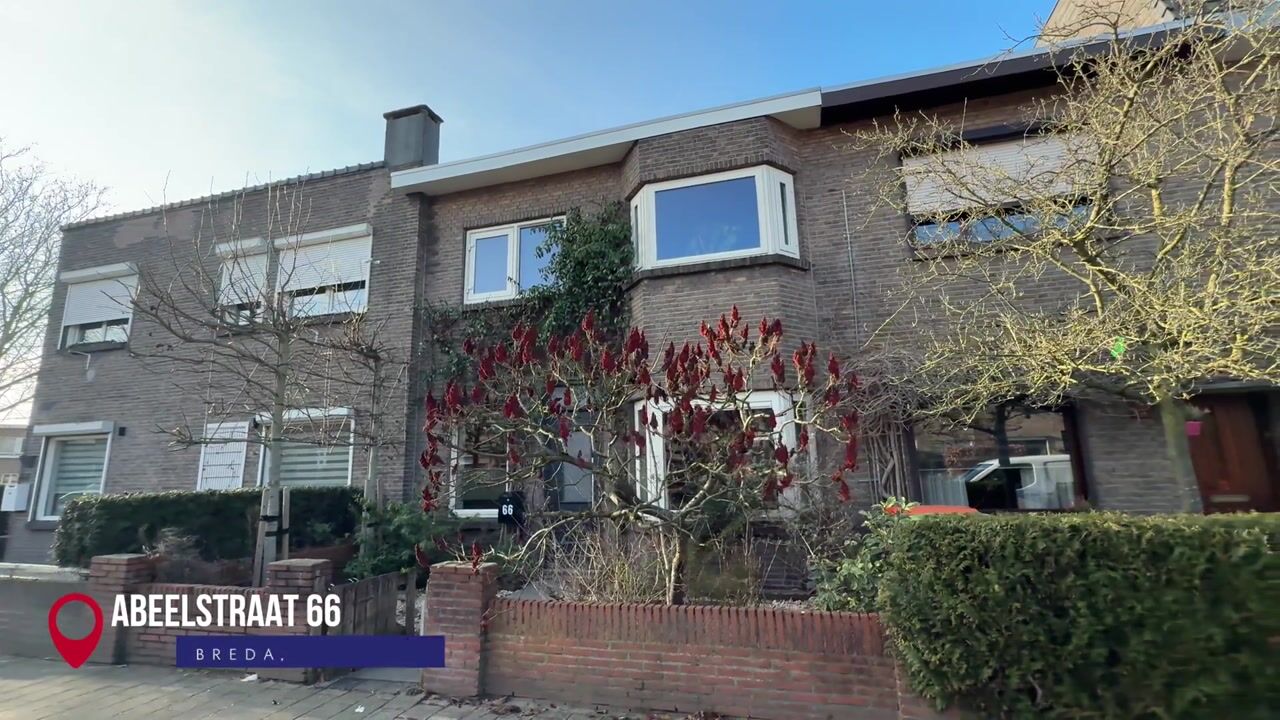 Video van Abeelstraat 66