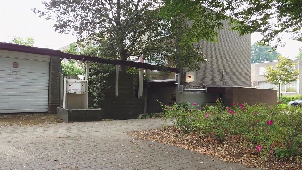 Video of Meijhorst 9266