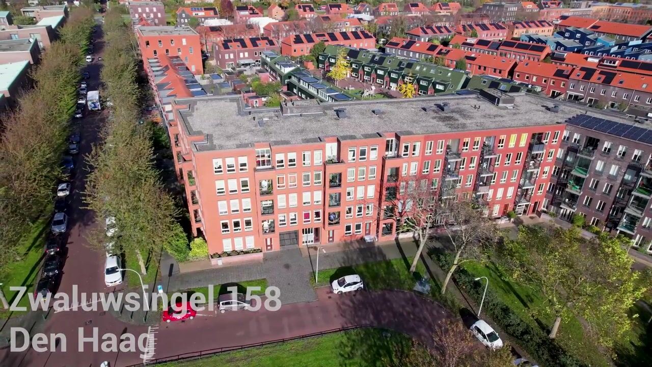 Video of Zwaluwsingel 158